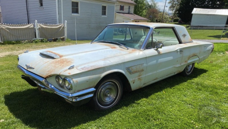 Estate Sale Uncovers 1965 Thunderbird Sitting Since 1988